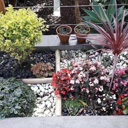 2azores With Comfort And Style