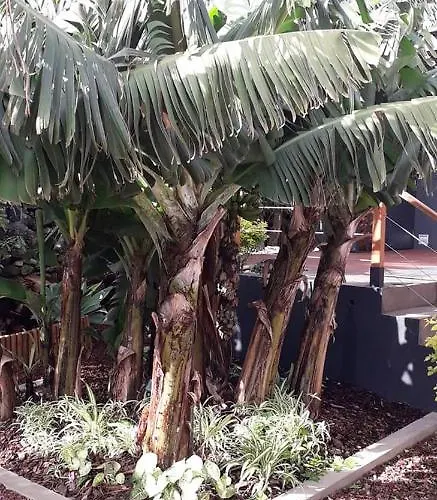 2azores With Comfort And Style Ponta Delgada