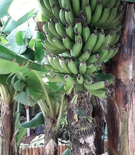 2azores With Comfort And Style Ponta Delgada