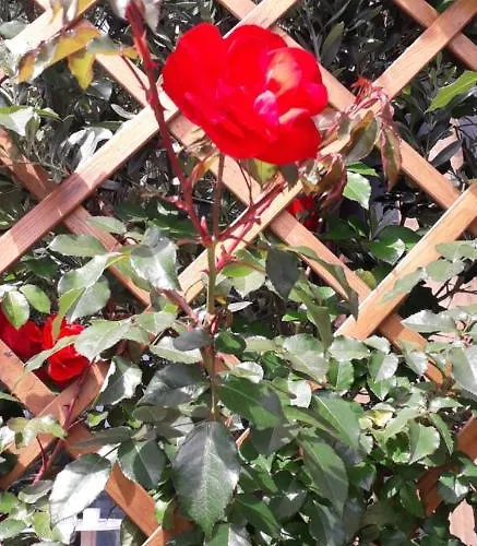 2azores With Comfort And Style בית נופש