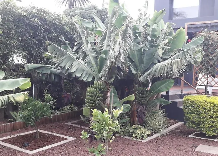 בית נופש 2azores With Comfort And Style Ponta Delgada