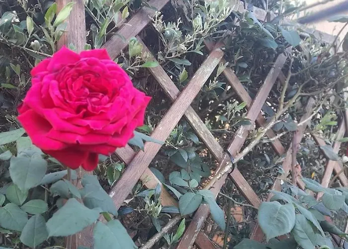 בית נופש 2azores With Comfort And Style