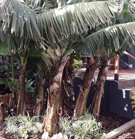 2azores With Comfort And Style Πόντα Ντελγκάντα