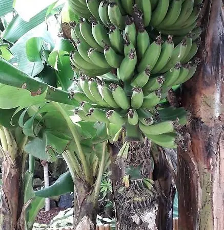 2azores With Comfort And Style Πόντα Ντελγκάντα