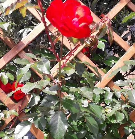 2azores With Comfort And Style Σπίτι διακοπών