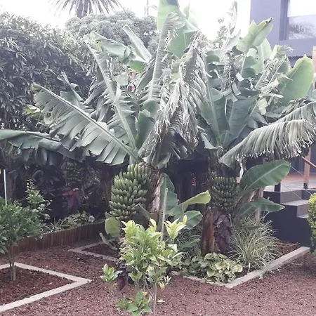 度假居 2azores With Comfort And Style 蓬塔德尔加达