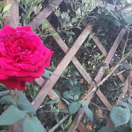 Σπίτι διακοπών 2azores With Comfort And Style